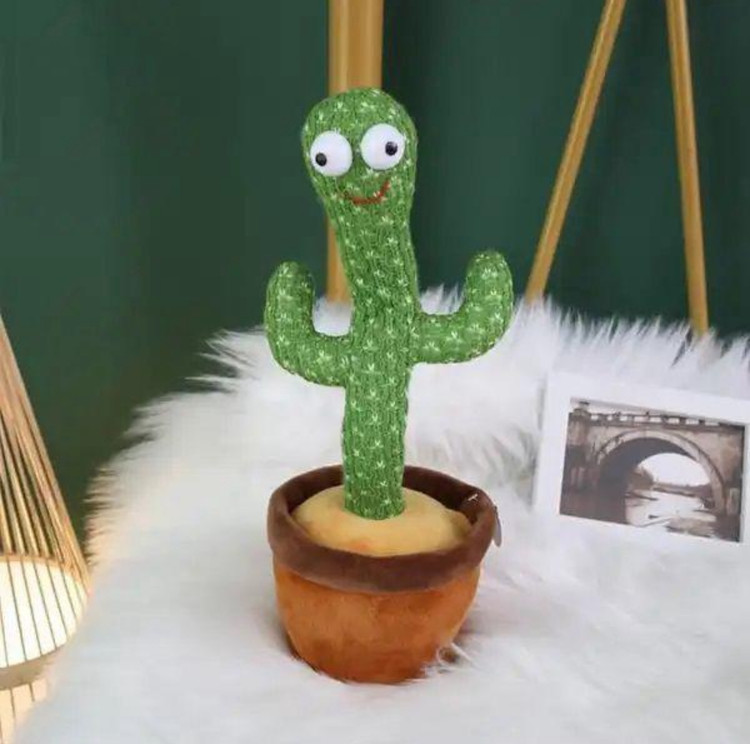 کاکتوس سخنگو شارزی و موزیکال